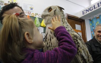 Visita de aves en Infantil 3 años – Proyecto de los Pollitos