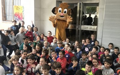Eco-museum en 1º de Primaria