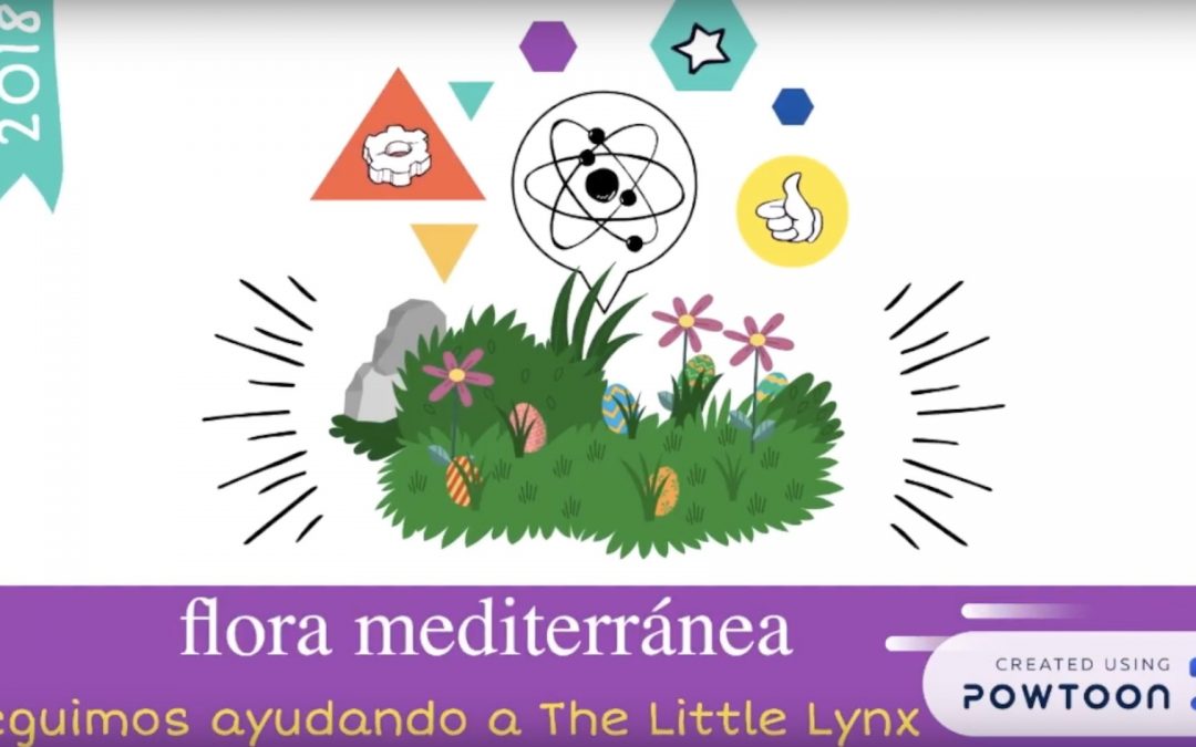 Las plantas del Ecomuseum